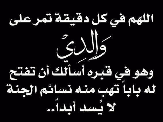 العقبه/عبدالله العجمي tweet media