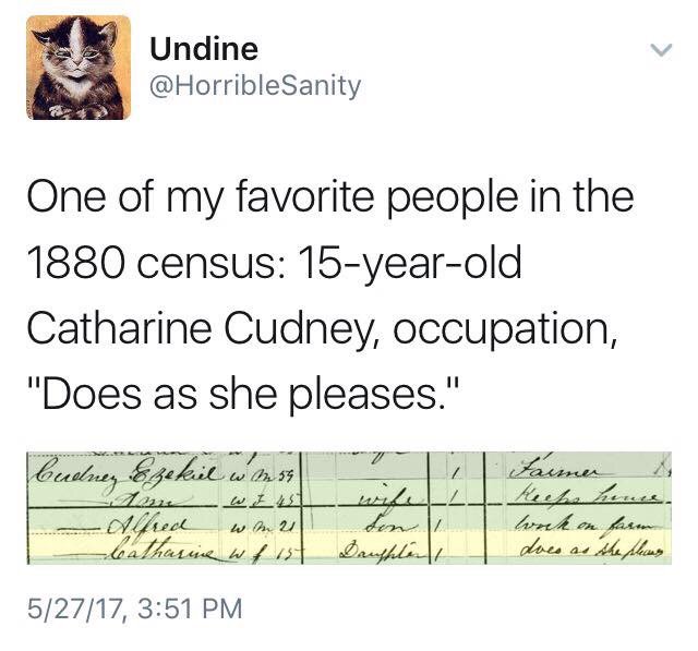DekGenealogy's tweet image. A little census humor...