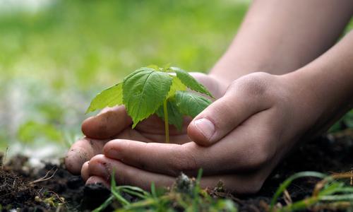 Read how the #APACForum team are working to minimise the #Conference environmental impact

apacforum.com/news/apac-foru…
