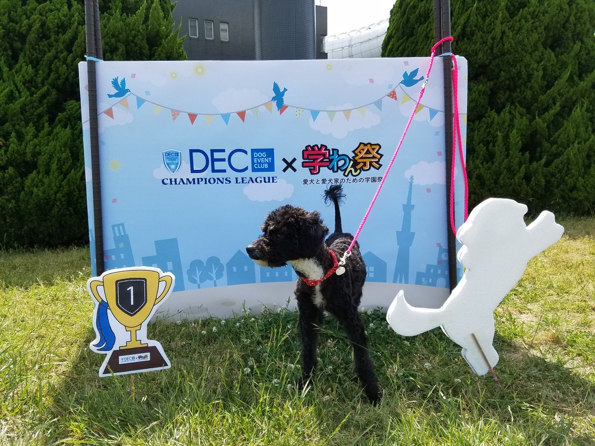 AzuPins's tweet photo. #DECCL #学わん祭 https://t.co/2tS3rUWaVz