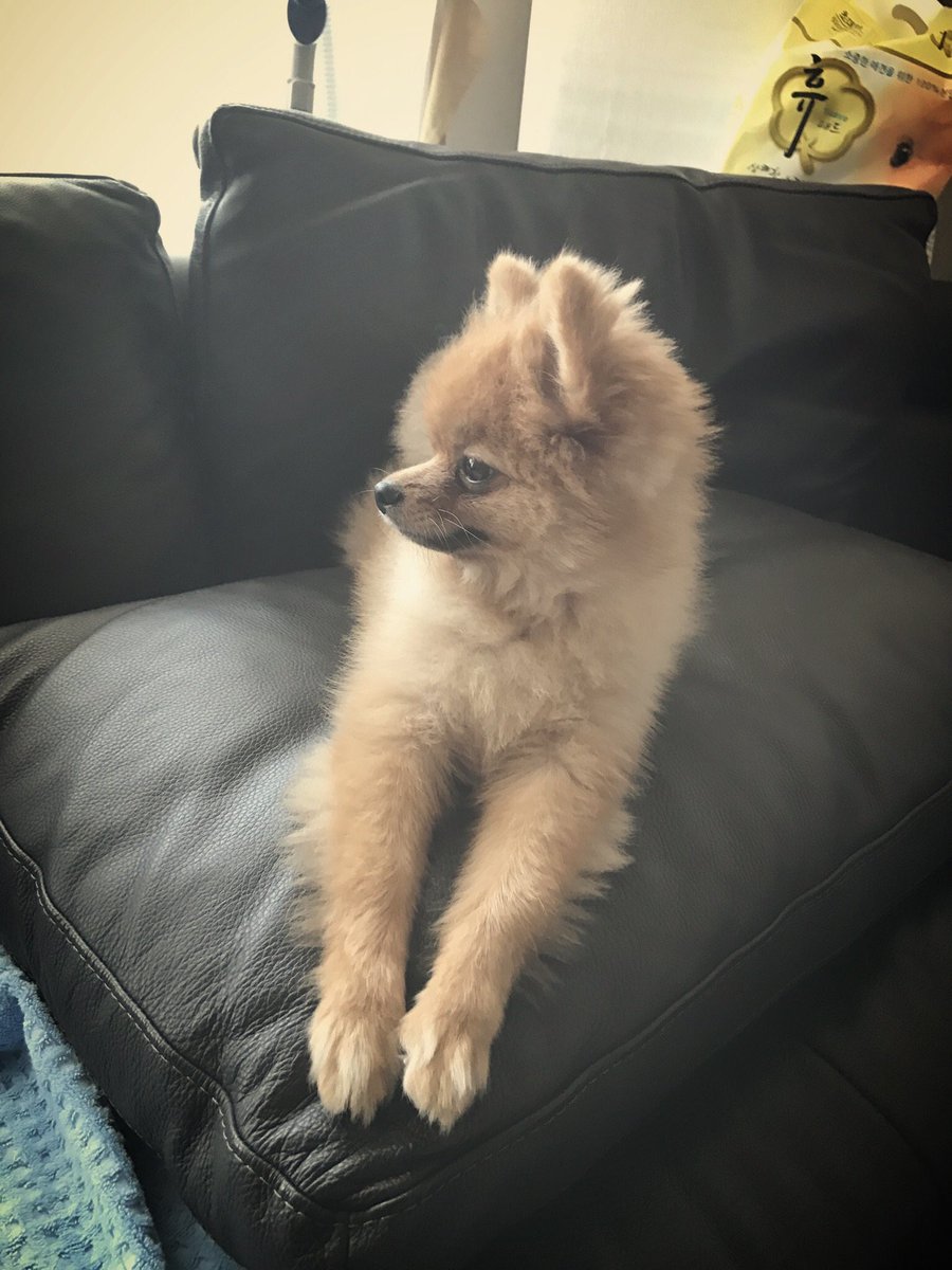 bymochiii's tweet photo. [PIC] 170528
ZELO96: 다�� 잘 잤어요?🙈
trans: Did you sleep well?🙈 https://t.co/bQKIwG3fJl
