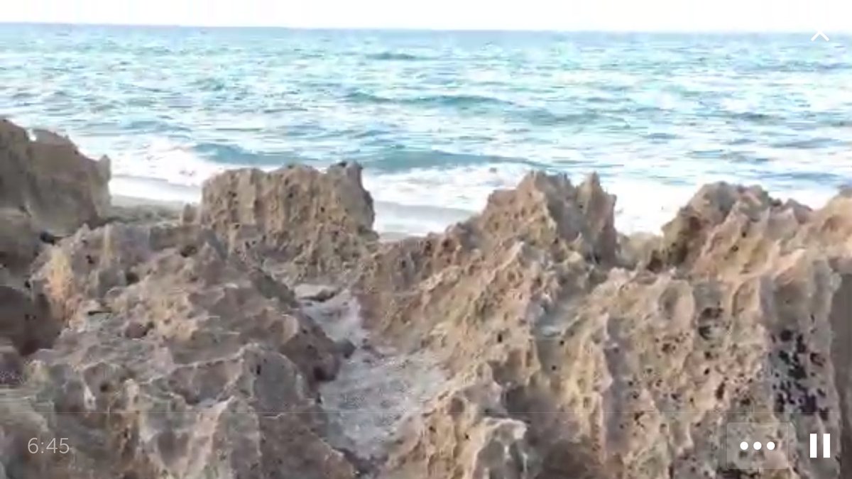 travelinwitch's tweet photo. @SeanClaesgens @FloScope #periscope #flasunset #oldcorralreef https://t.co/R7cMIMEmjX