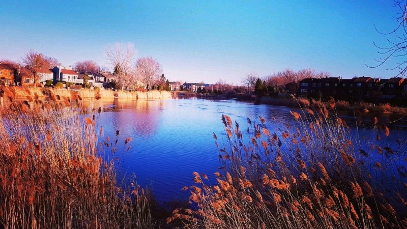 lamworld's tweet image. instagram.com/p/BS44tdZF6Ec/