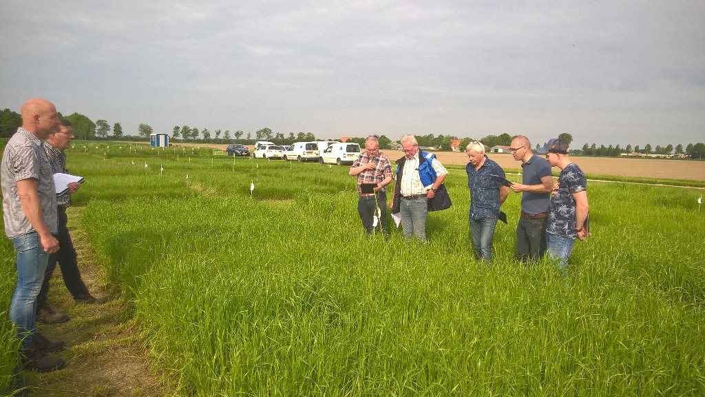 AdFioole's tweet photo. Veldinstructie grassen met onze keurmeesters op NAK proefbedrijf in Tollebeek @nakemmeloord https://t.co/9poKv97PkX