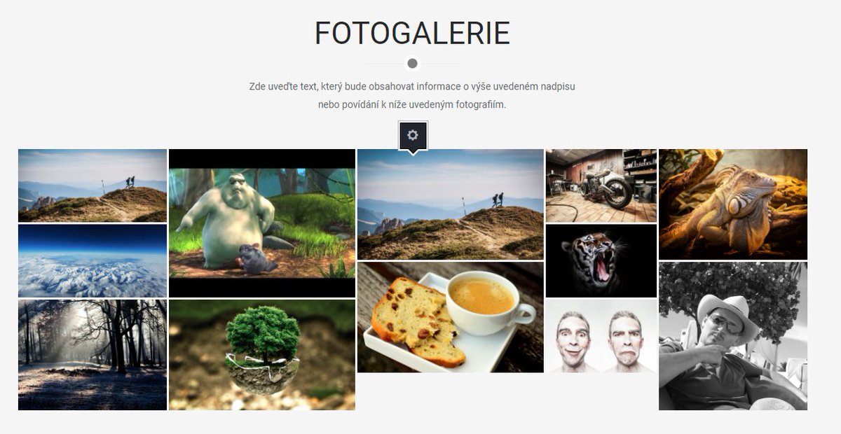 Webareal tweet media