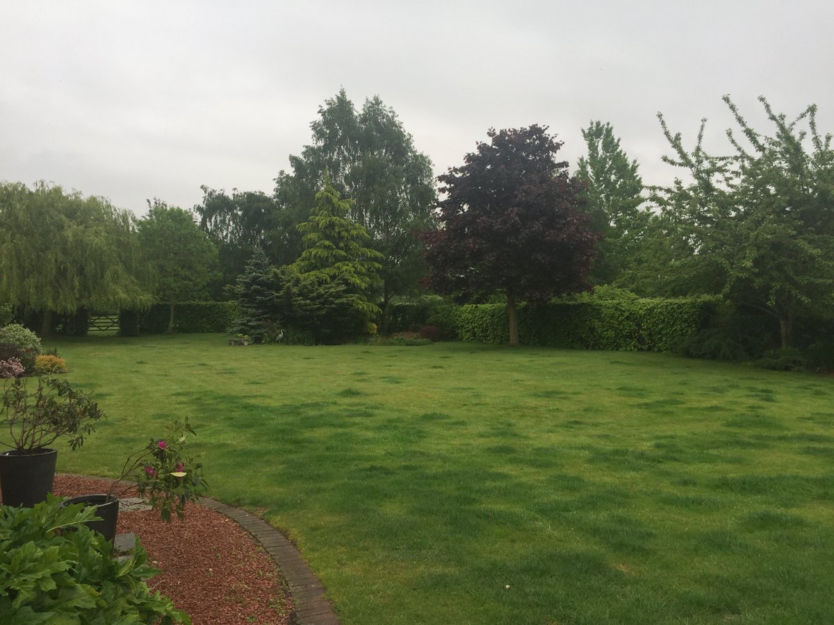 Lakesorthotics's tweet photo. Might be a miserable day but I still get a pretty good view from my office! #LoveWhereYouWork https://t.co/ByinUFr9Z7