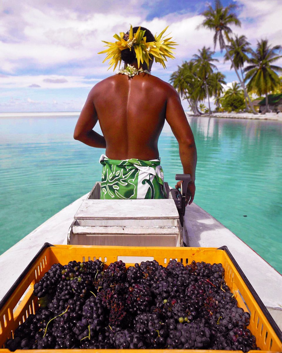 Wine Shop Weds tonight = Wines of the Islands 🌴 Think Corsica, Sardinia, Sicily &amp; Santorini (it is Greek Night after all) at bargain prices!