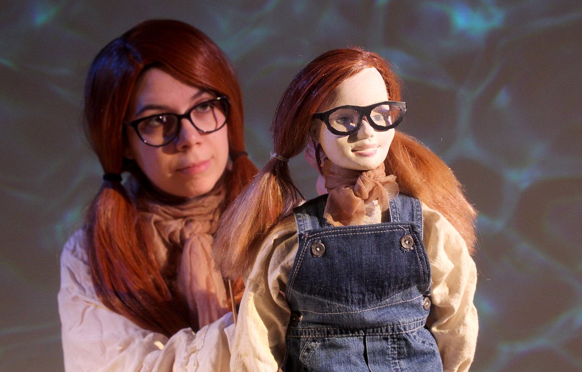 Lab, Haverfordwest tweet media