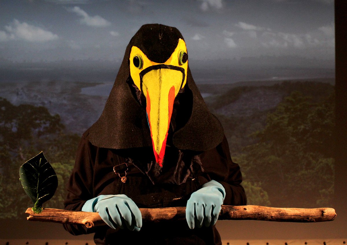 Lab, Haverfordwest tweet media