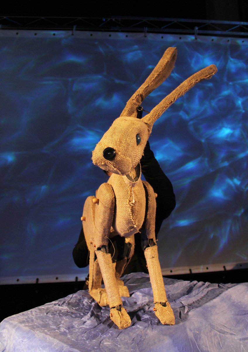 Lab, Haverfordwest tweet media