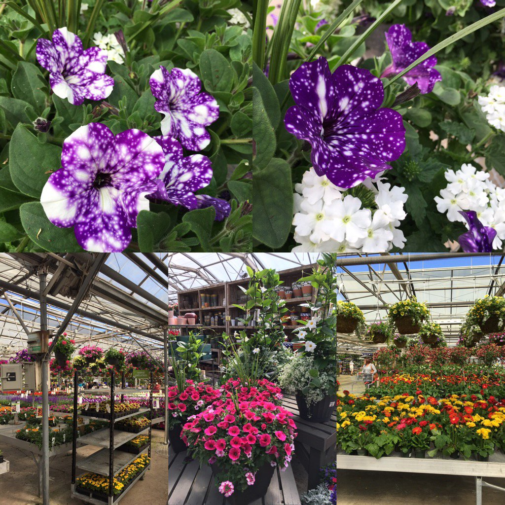 heidisalfeld's tweet image. Danger zone #spendingmypaycheck