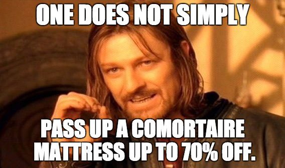 Comfortaire's tweet photo. We’re going out with the lowest prices ever on Comfortaire collections! #StillAwake? Shop Now https://t.co/sY6nVgvB66 https://t.co/TUk05IOL6L