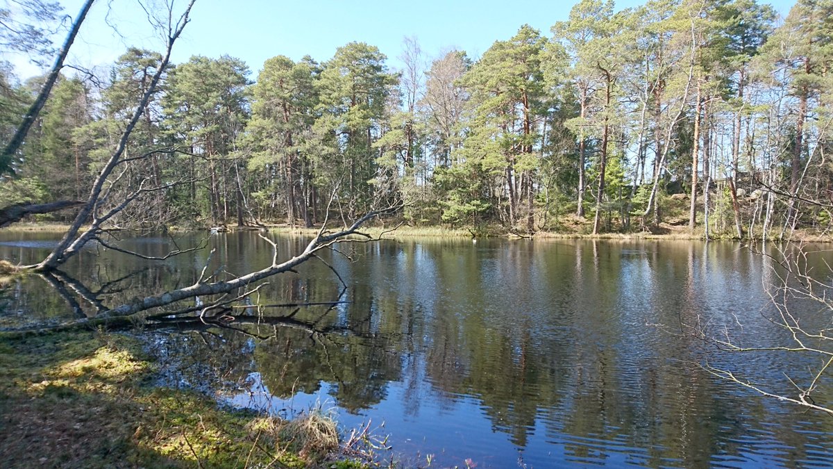 3m3k3p's tweet photo. Emil Zátopek run around this lake in Helsinki after the 1952 @Olympics. According to some sources he did it the Finnish way and was naked. https://t.co/VwwUYPv68u