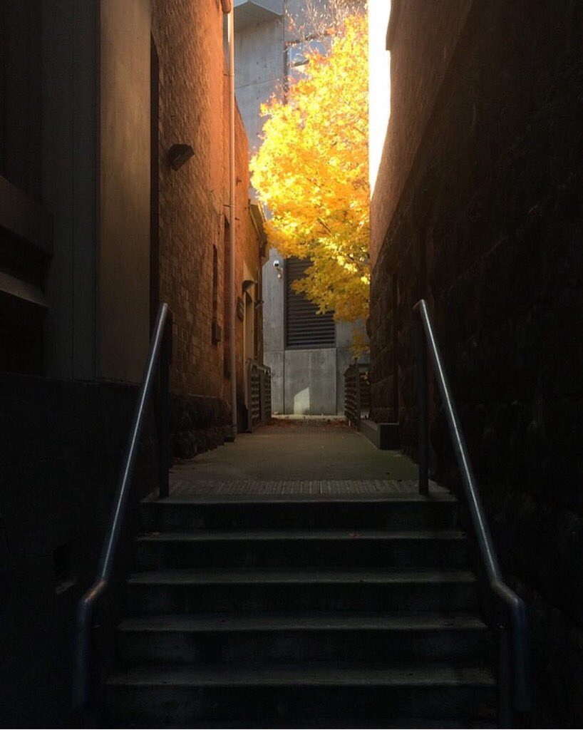Oh hai Autumn, I see you there.
A simple yet beautiful autumnal capture by <a href="/kitteltys/">Sara Kittelty</a> 🍂
#ballarat