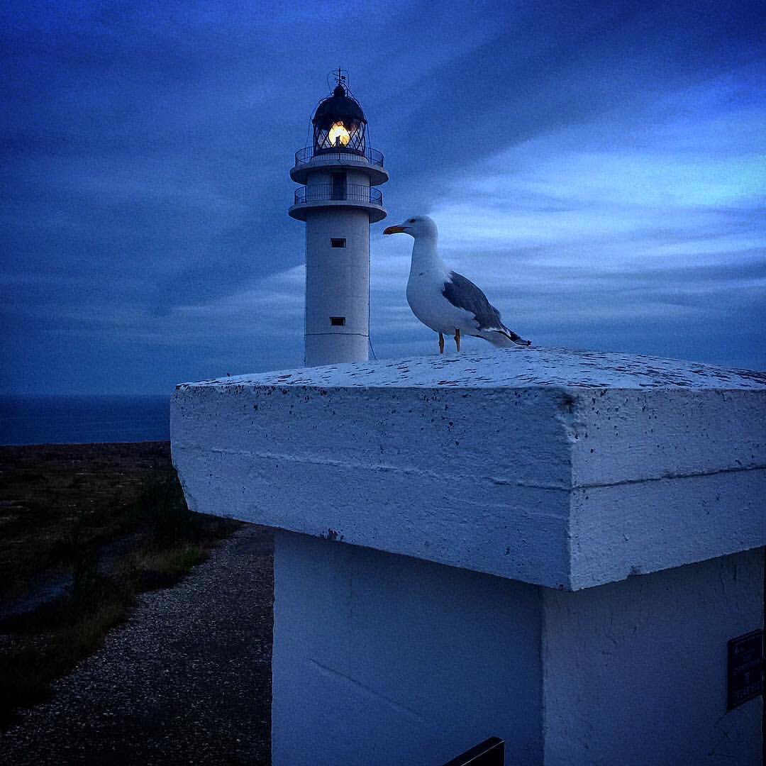 seidiformentera's tweet photo. Anche lui aspetta #daichemancapoco #seidiformenterasesince2014 style https://t.co/9eRMS35jd6
