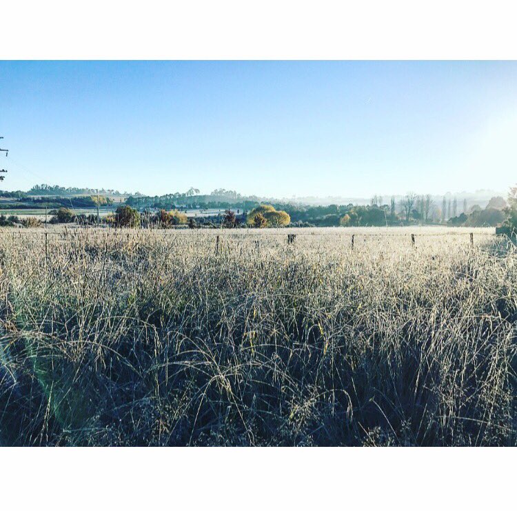 Hannah_webb22's tweet photo. Frosty morning walk in Armidale ❄️❄️❄️ #cantoo #armidale #everesttraining https://t.co/8OqsCMpZzu