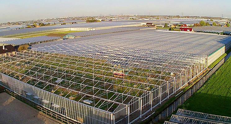 Luiten Greenhouses (@luitengreenhous) on Twitter photo - <a href="/AmmerlaanSosef/">Jef Ammerlaan-Sosef</a> bouwt op dit moment 'een mooi stukkie erbij'. En wij verzorgen de scherming! bit.ly/2pViNNY - <a href="/AmmerlaanSosef/">Jef Ammerlaan-Sosef</a> bouwt op dit moment 'een mooi stukkie erbij'. En wij verzorgen de scherming! bit.ly/2pViNNY