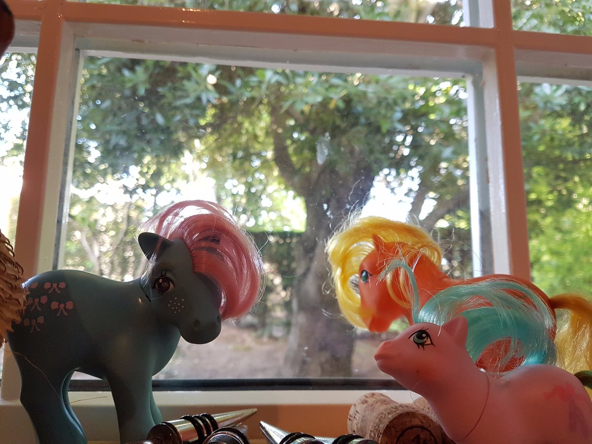 DoctorPechey's tweet photo. Well, it looks like it's going to be another beautiful day here in Edinburgh! #MayLittlePony https://t.co/EunhUMvdMt