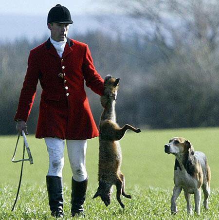 Team4Nature's tweet photo. SIGN/RT if YOU want to get #ToriesOut &amp; #KeepTheBan for #FoxSake!
https://t.co/Q4ZnjsFs7c
#VoteForHopeVoteForChange https://t.co/ny6eP4Hqms