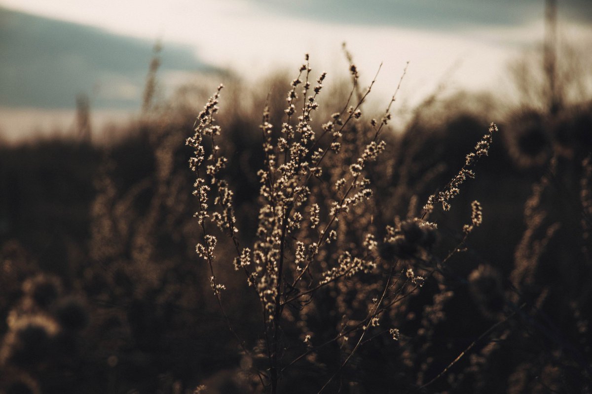 МОЙ ГОРОД - ПЕРМЬ! tweet media