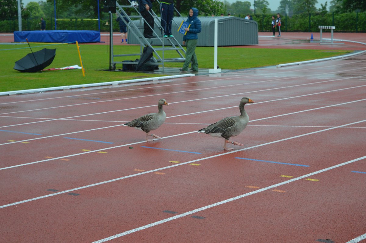 HLCSport's tweet image. #TrackEvent photos from yesterday&apos;s @SchoolAthletics #TrackAndFieldCup #ChallengingConditions!