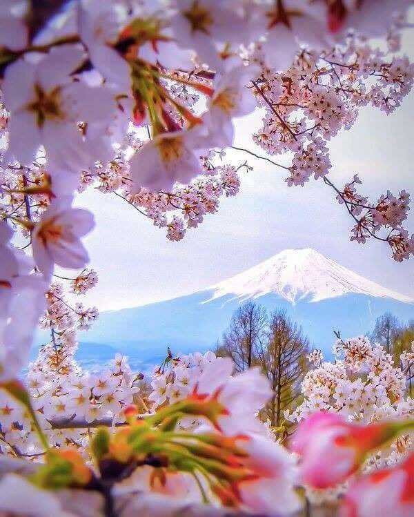 kentkristensen1's tweet image. #happiness 
🍃🍒🌹

Keep your heart free from hate,
Your mind from worry.
Live simply,
Give much.
Fill your life with love

💞 #kentkristensen