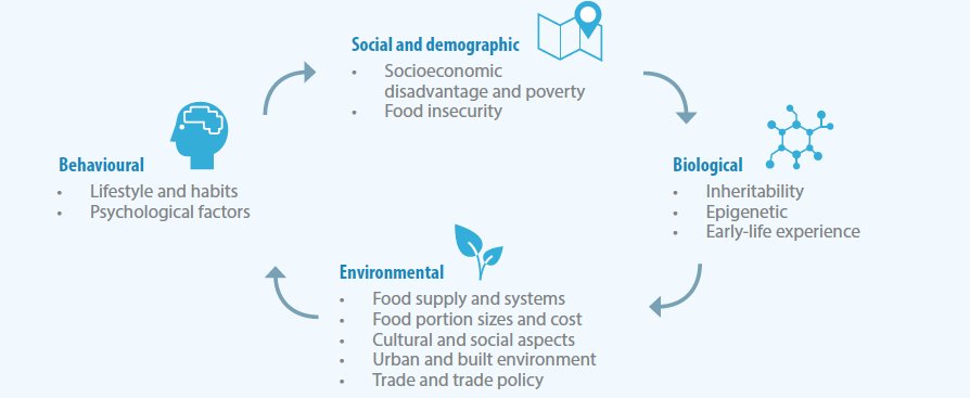 GNReport's tweet photo. What is the double-burden of #malnutrition, and how can we tackle it? New @WHO brief here https://t.co/9Zfx08rsu4 #globalgoals #Globalhealth https://t.co/iTVQEJesDC