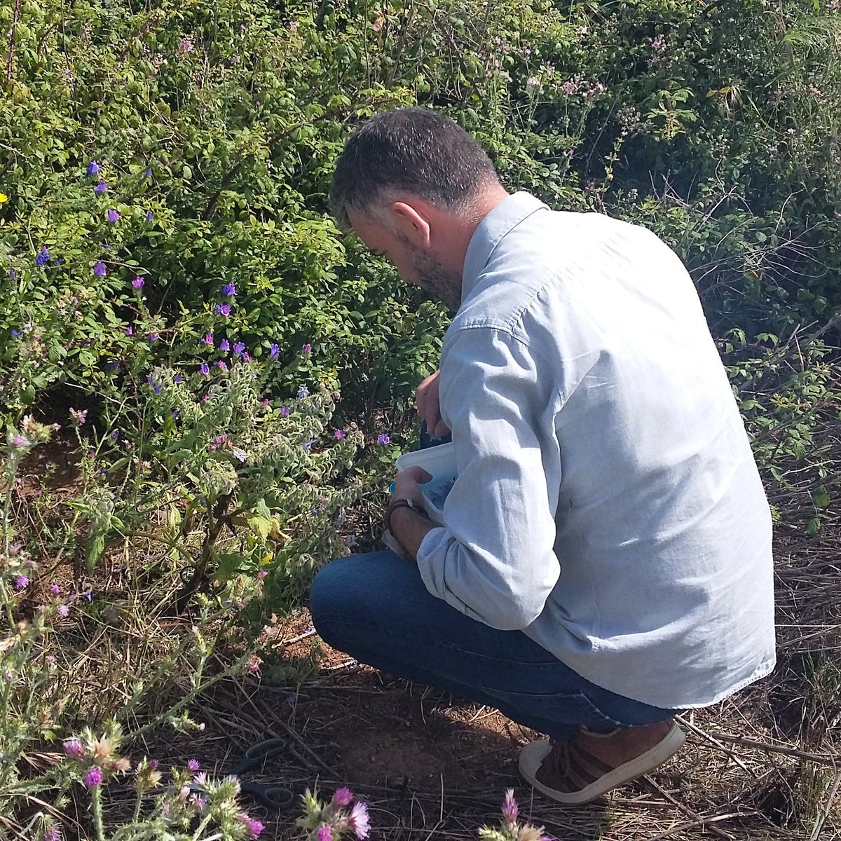 mistereatgalway's tweet photo. Some pics from this morning #locorestaurant #portugal https://t.co/l5oQq9PHq3