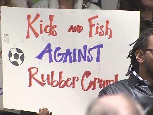 Bellevue parents protest plans for crumb rubber turf kng5.tv/2pTUGQq