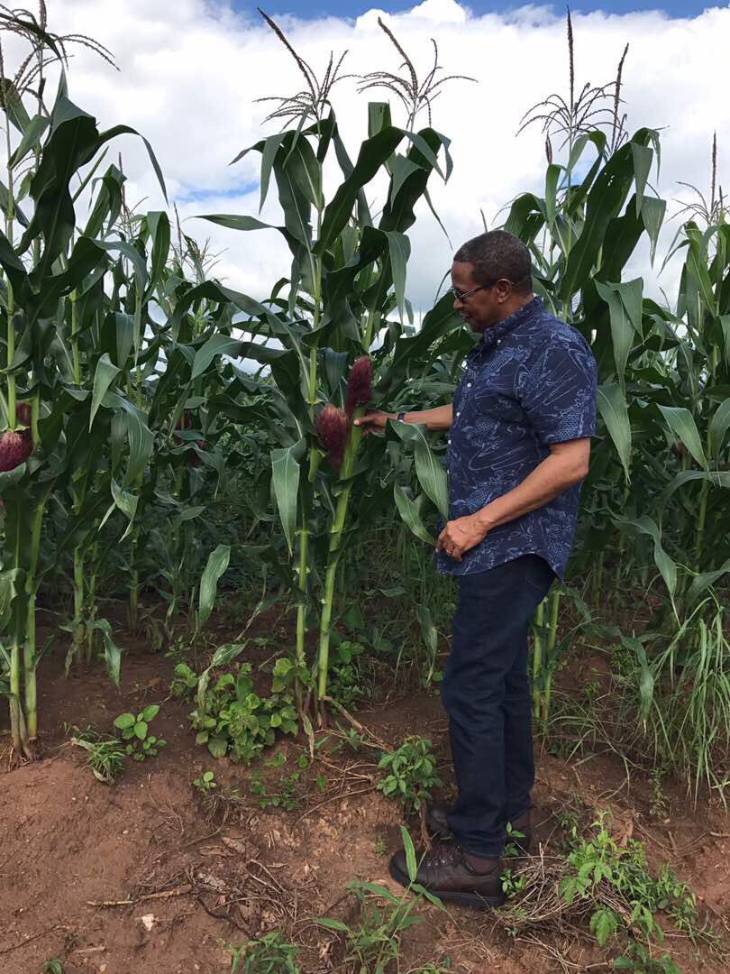 jmkikwete tweet picture