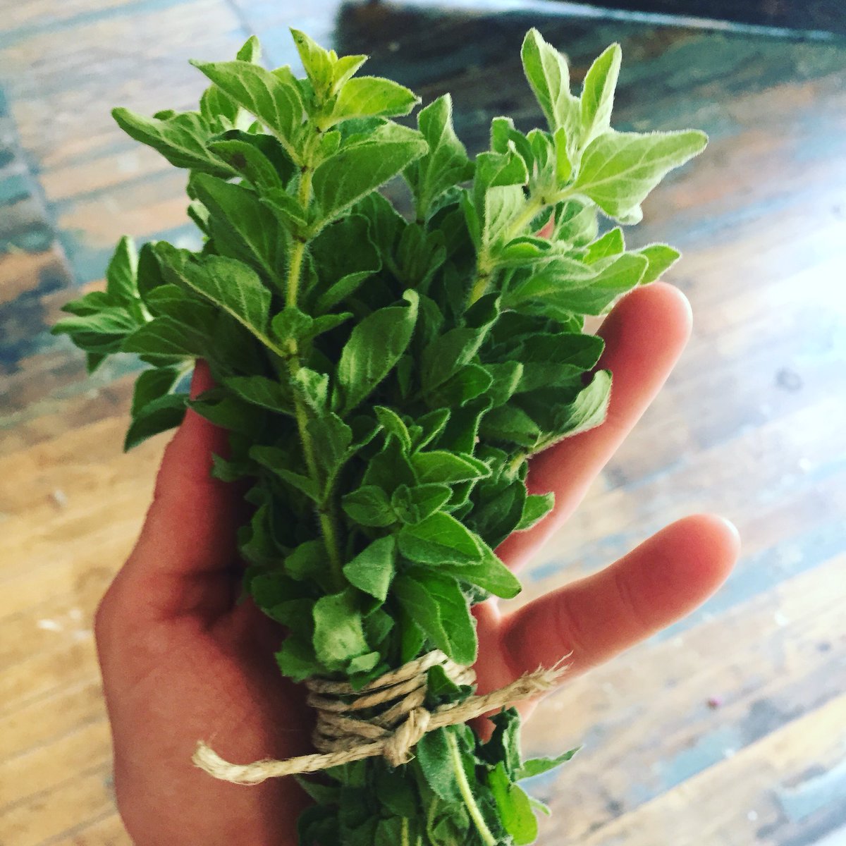 #herbs are in from <a href="/ohiocityfarm/">Ohio City Farm</a> <a href="/joecimperman/">joecimperman</a> <a href="/happyincle/">Destination Cleveland</a> <a href="/KeepItLocalCLE/">Keep It Local Cleveland</a>