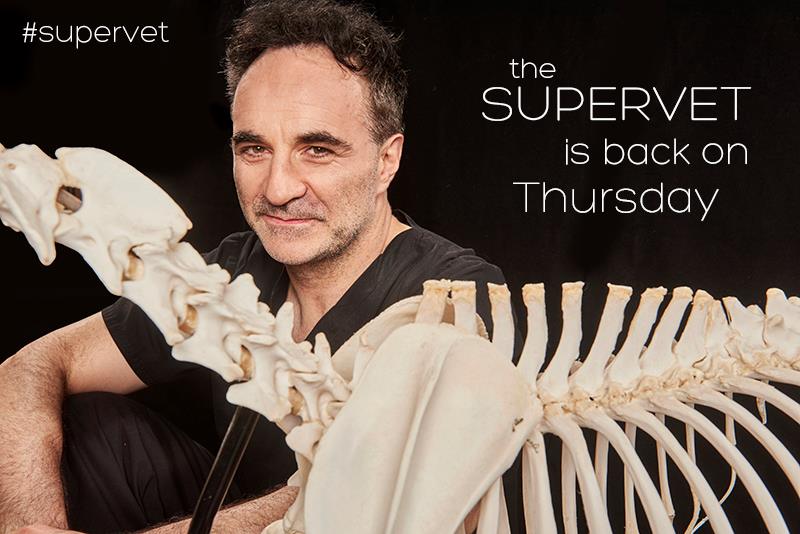 fitzpatrickref's tweet image. Well done team! The #Supervet has been nominated ‘Best Factual Show’ in this year’s TV Choice Awards. Vote here👉goo.gl/Y2sDLp