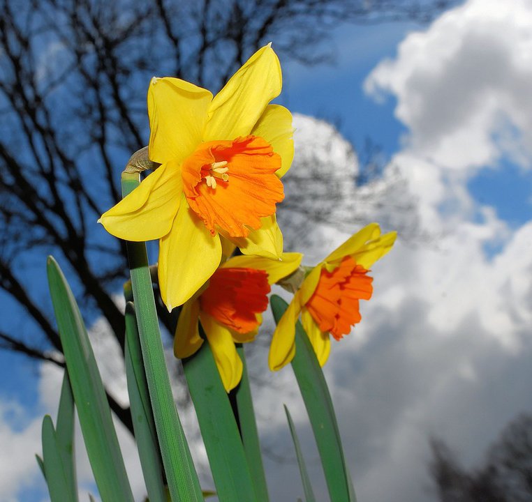 きらり Khnzg3tifkg7boz Twitter