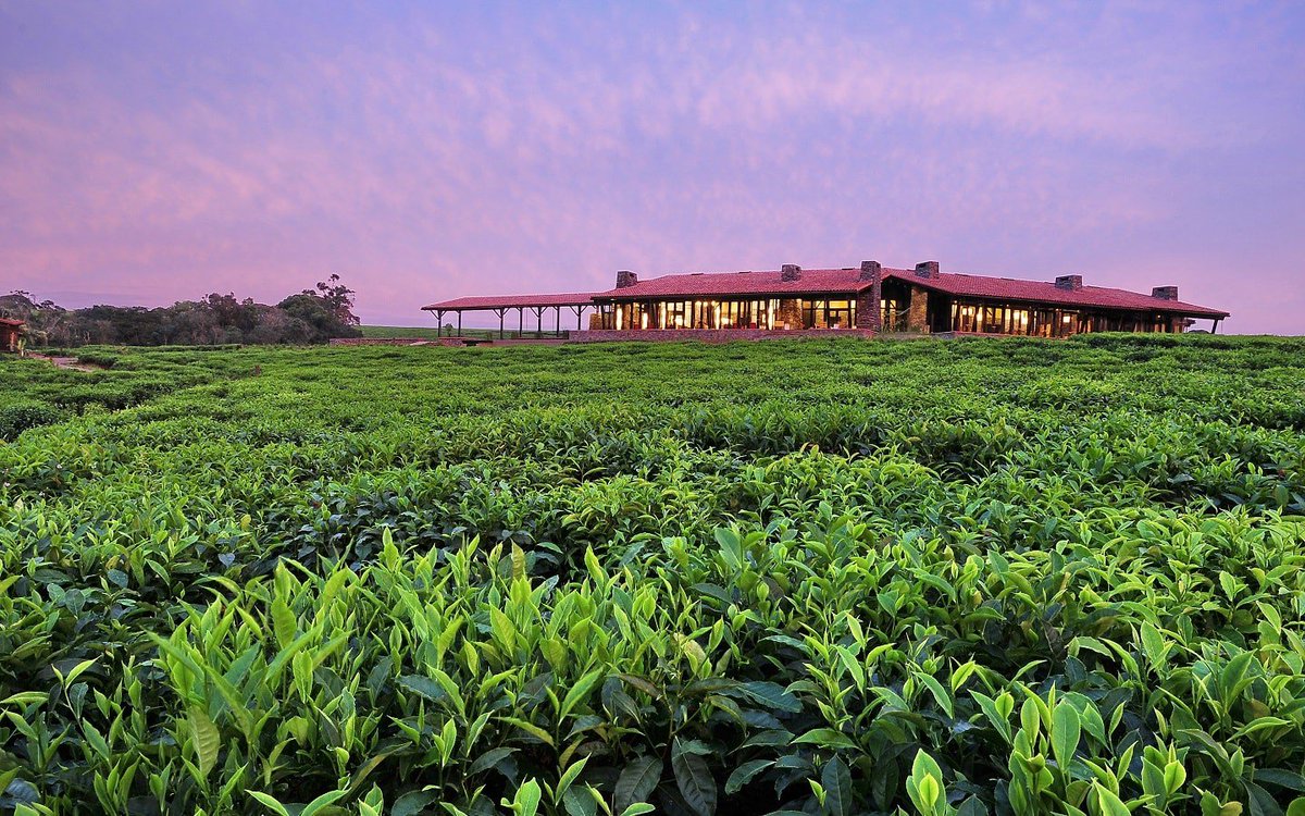 RafikiExplorer's tweet photo. One &amp; Only Nyungwe House sets opening date #Rwanda https://t.co/EI2wzOq3Uw https://t.co/8hGttRx2mt