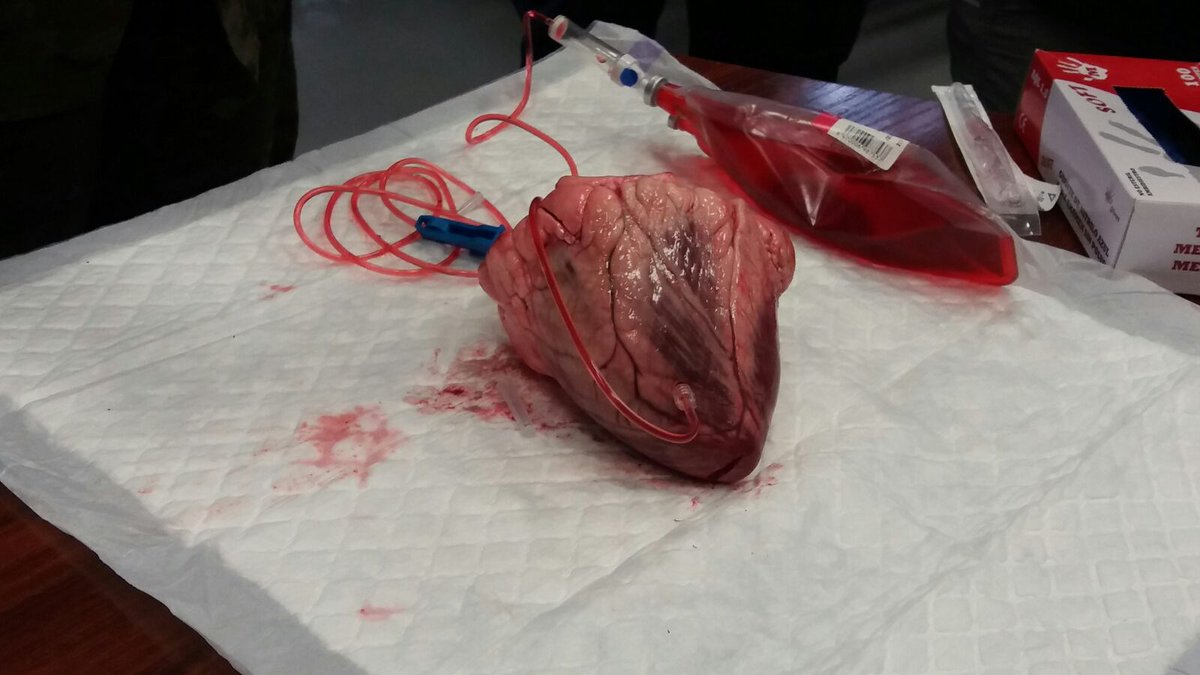 MariascenAG's tweet photo. #DMTucaCavalcanti17 Taller de control de hemorragias y hemostáticos @MasterCrisisUca https://t.co/eQjJeGp25e