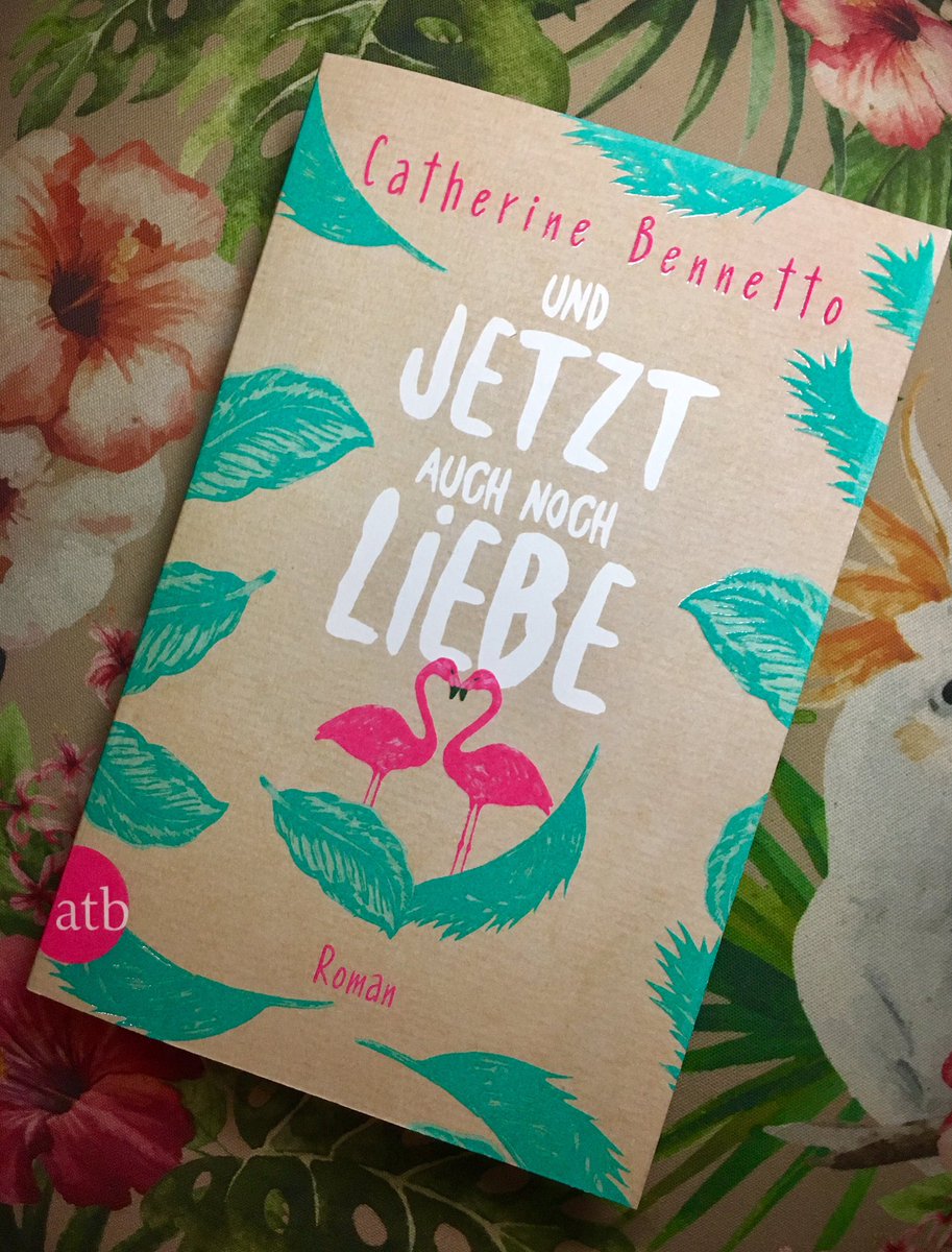 cathbennetto's tweet photo. The German cover for #hownottofall So pretty! https://t.co/5Cjg8IULDo
