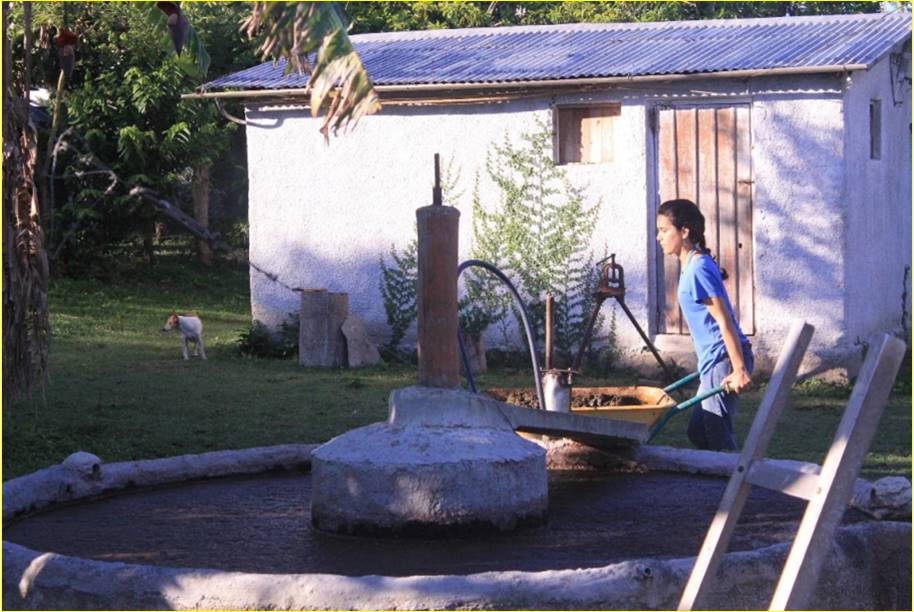 owc_India's tweet photo. Meet the Rodriguez familia from Cuba @owc_India practicing holistic permaculture farming and using self innovations for better efficiency https://t.co/Er8IHuh0Md