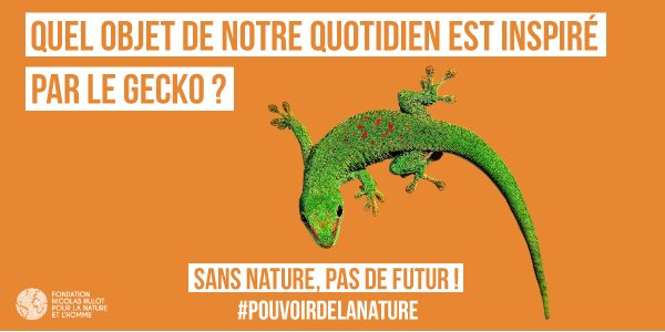 FondationNH's tweet photo. Connaissez vous les super pouvoirs de la #nature ? #JAPLN https://t.co/19iqyVKCoZ