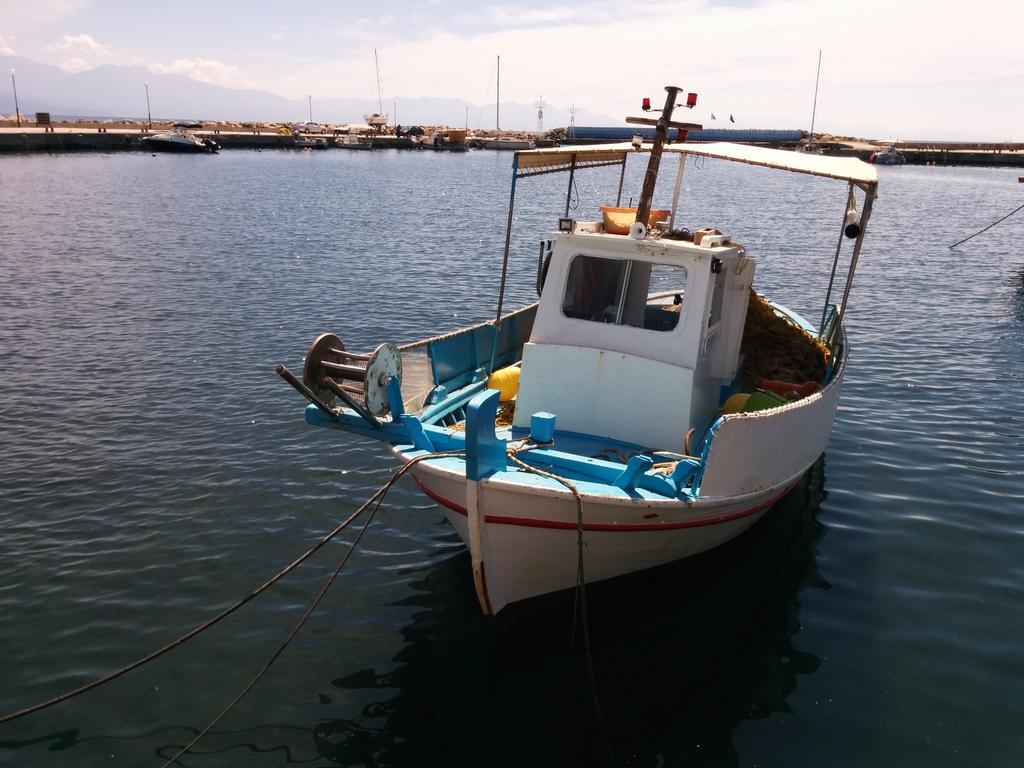 VillyManolia's tweet photo. Good Morning from #AgiosAndreas village #LifeinMessinia #travel https://t.co/2UY89Qgafq