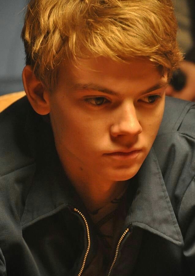 土岐野tokino トーマス ブロディ サングスター 英国生まれの妖精 この外見で今年27歳という驚異 ラブアクチュアリーのドラムボーイ あの可愛いサムが成長した姿です メイズ ランナーシリーズのニュート役もご注目下さい 洋画界に詳しくない人