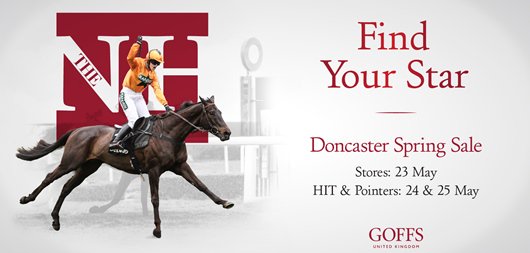 GoffsUK's tweet photo. 2 more #SpringHIT Sale entries taken today @irishp2p winners OVER STATED &amp; COPPER WEST who placed in a Bumper on debut @KillarneyRaces https://t.co/OgoILZpeh1