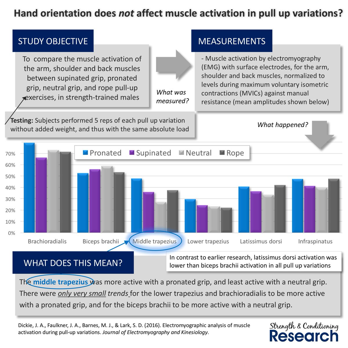 Least active. 72 кг. Laid back dog breeds. Сухой корм для пожилых кошек 1st choice для здоровья костей и суставов senior. Least active.