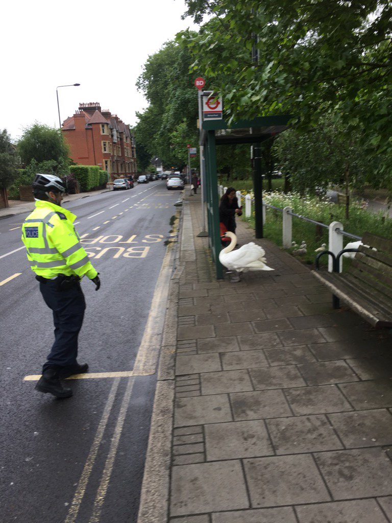 ApparProp's tweet image. The mean streets of Barnes!