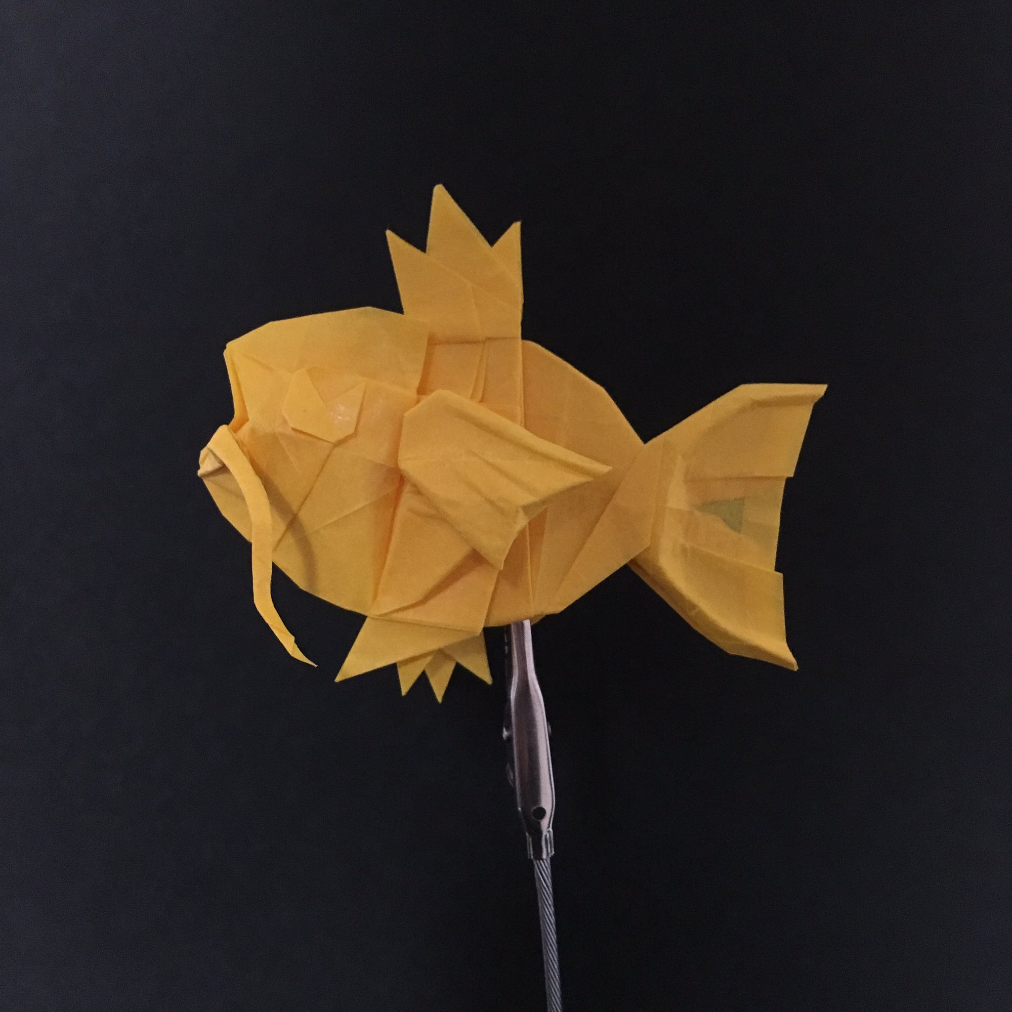 わっつぁん A Twitter コイキング 作者名 わっつぁん 折り手 わっつぁん 調整して結局本折りしました 色違い しゃちほこ 折り紙作品 ポケモン T Co Mbxvbywdfk Twitter