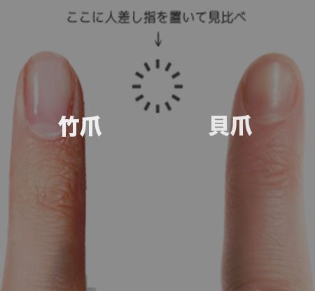 Buzzfeed Japan どうやら爪の形は人によって違うらしい ということでどっちの爪が多いのか調査してみたいと思います アンケート どっちの爪が あなたの爪に近い 左 竹爪 ならrt 右 貝爪 ならファボしてください