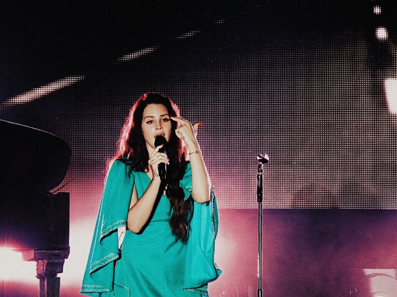 marina tweet media