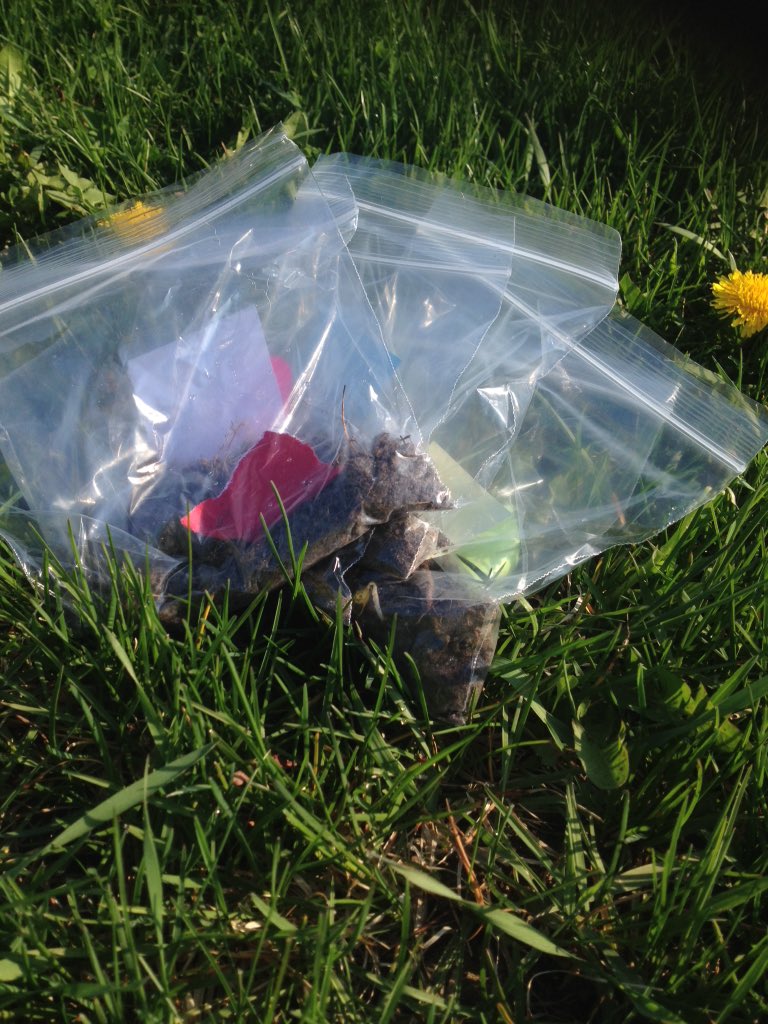 ms_wainwright's tweet photo. Students get outside for our pure substances and mixtures scavenger hunt. @FR_Science @FrankRyanSchool https://t.co/UMSusC062N