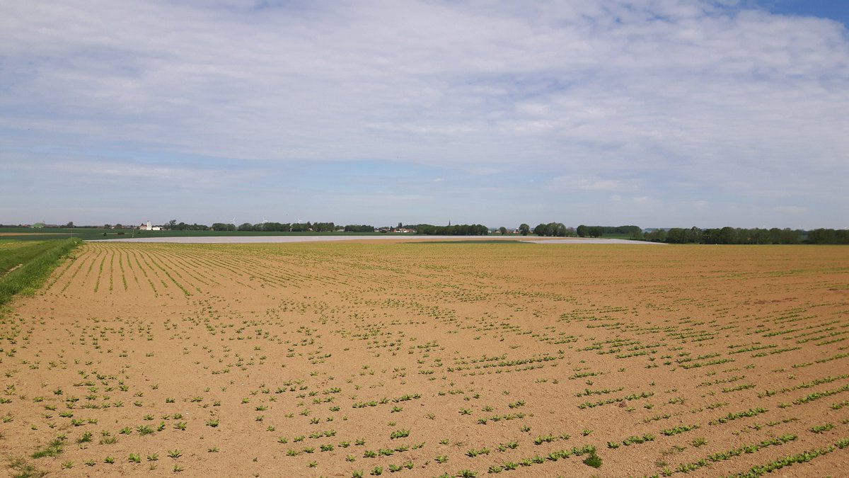 CookseyJon's tweet image. Hot work cycling Bullecourt battlefield in 30 degrees on centenary of close of second battle.