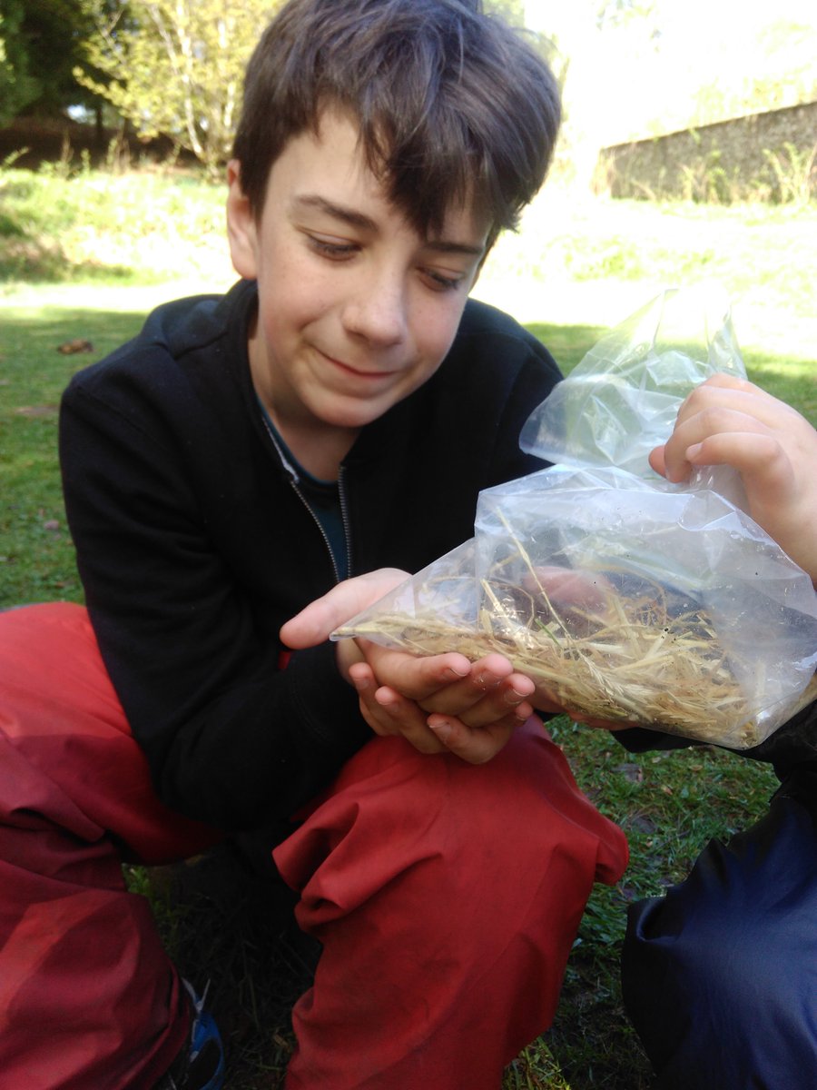 Chirnside Primary tweet media