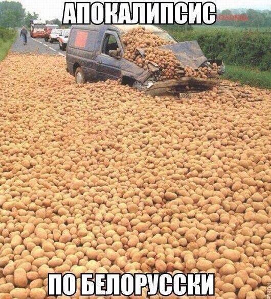 TaxiTranzit's tweet photo. #Грузовое_такси_СПб #Грузоперевозки_СПб #квартирный_переезд #дачный_переезд https://t.co/Bf3y7YperZ